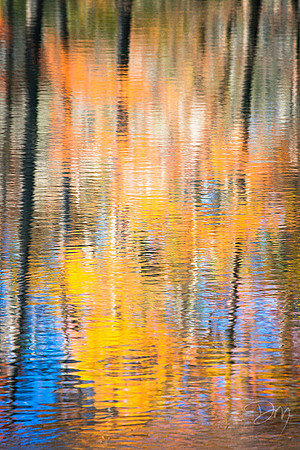 Fall Reflected
