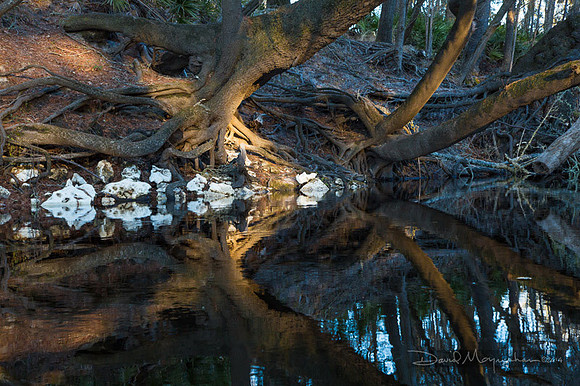 Suwannee-5777