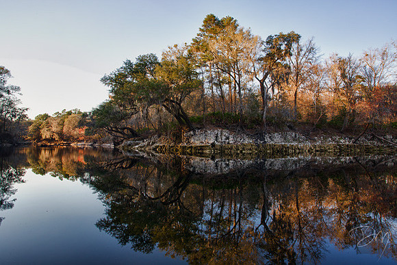 Reflections on the Suwannee