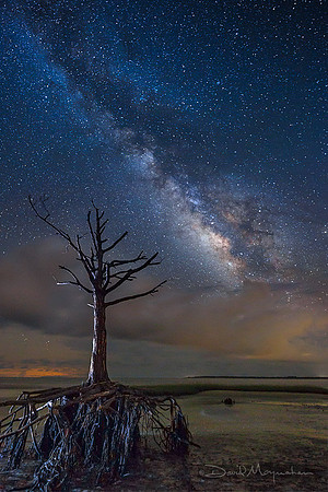 Still Standing 3