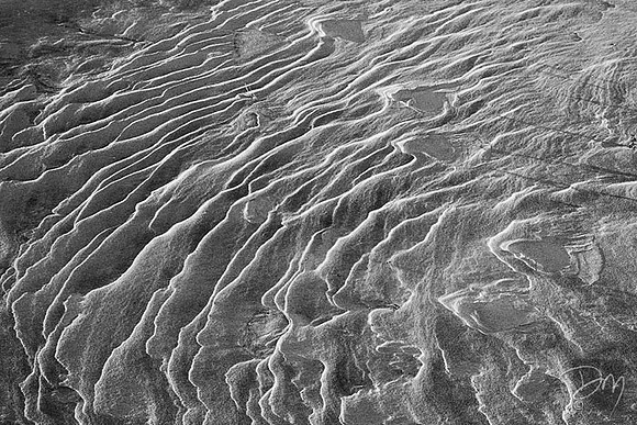 Tracks Through Amber Waves