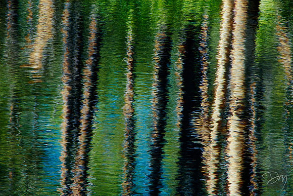 Water Colors 2