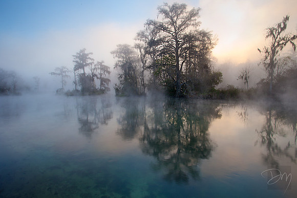 Wintery Wakulla