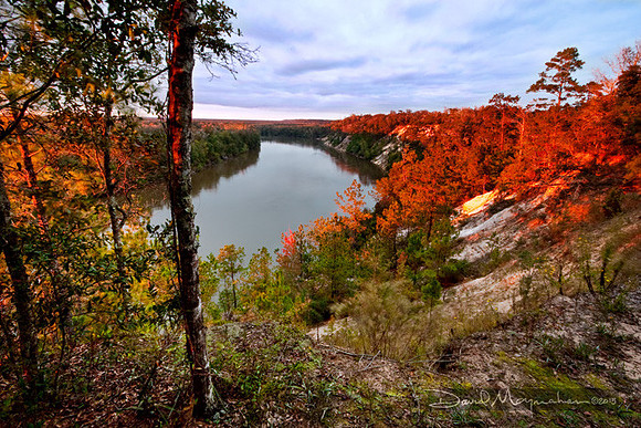 Alum Bluff Sunset