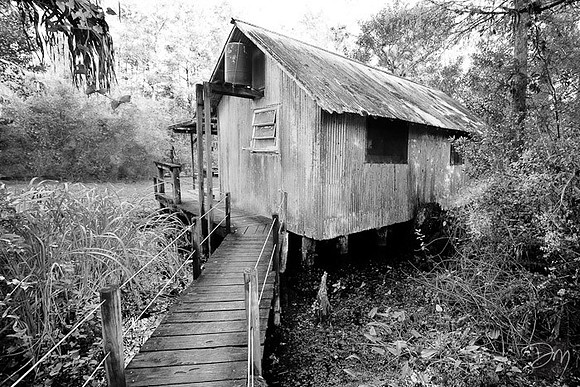 Fakahatchee Cabin