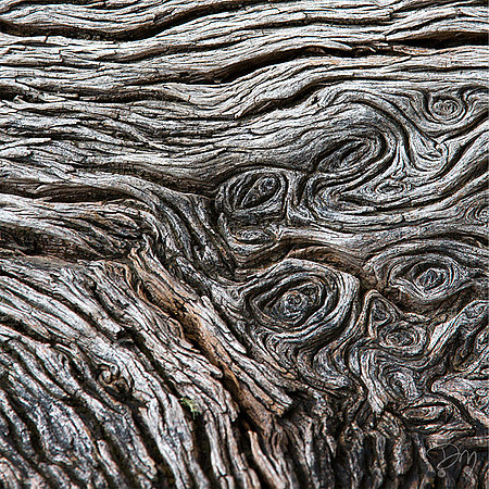 Flow of Wood