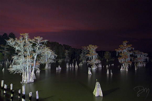 Ghost Trees