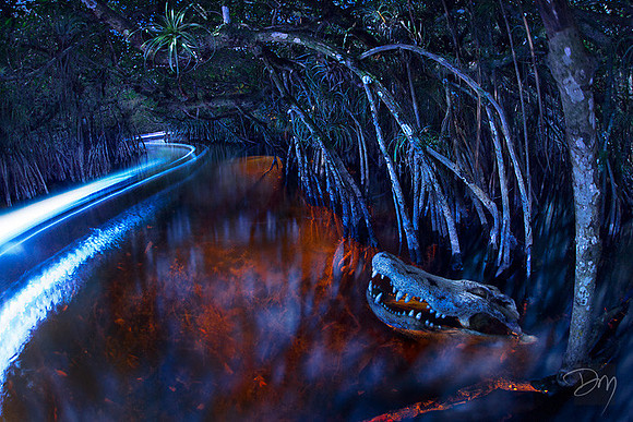 Magical Moonlight Paddle
