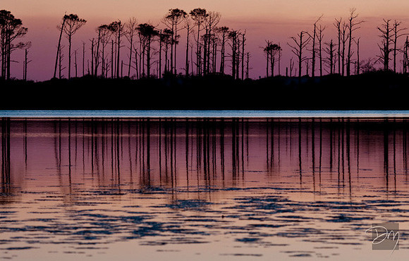 Line of Dusk