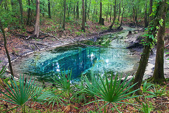 Maund Spring