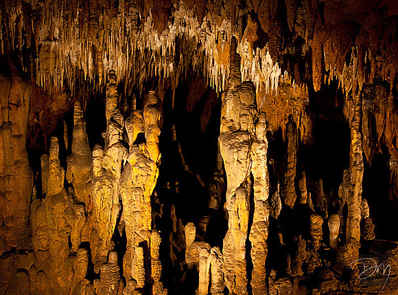 Florida Caverns
