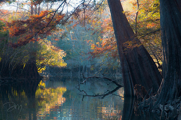 Autumnal Creek