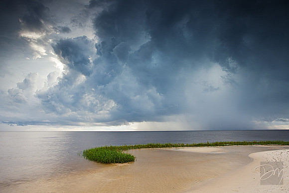Mashes Sands Grass Spit
