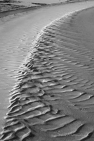 Sand Perspective