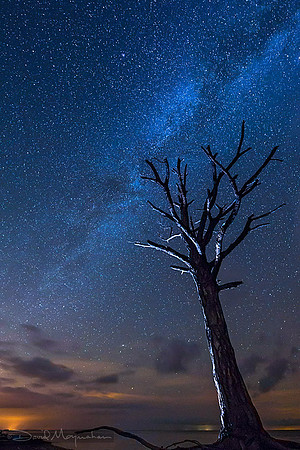 Still Standing IV