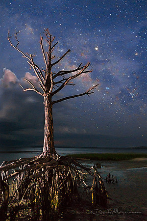 Still Standing