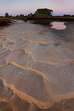 Tidal Creekbed