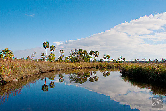 Sopchoppy_Reflection_2332-lg