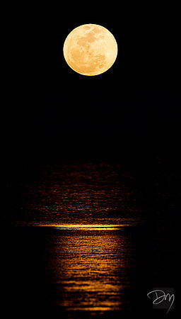 Full Moon Over Gulf