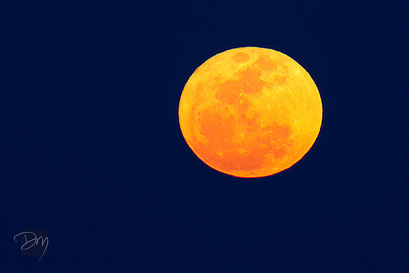 Moon