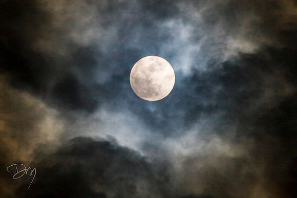 Moon Cloud