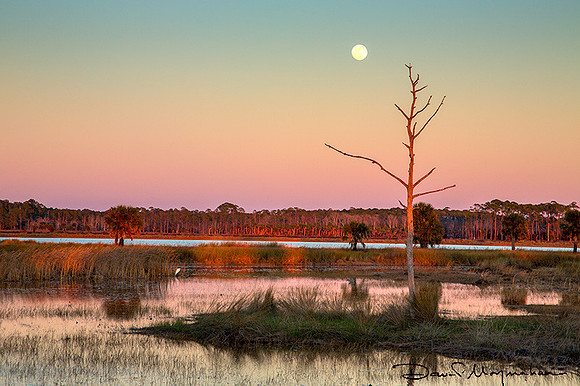 Moonrise Before Sunset