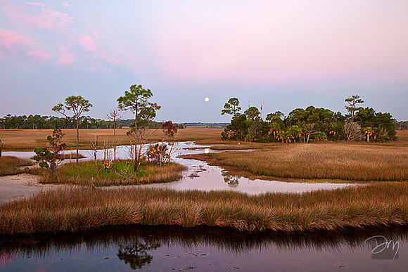 Moonset Over Marsh