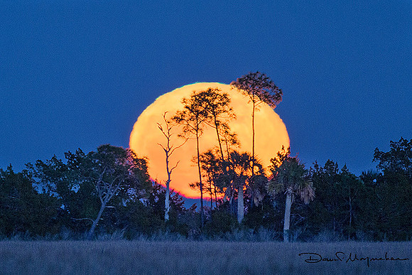 Super Moon Rising