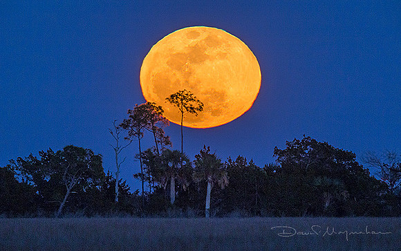 Super Moon Up