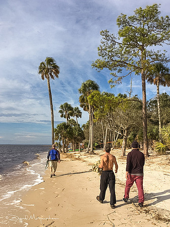 Beach Walk