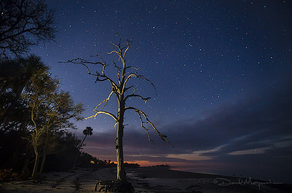 Big Pine Stars