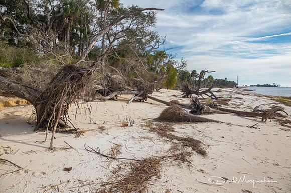 Hurricane Erosion