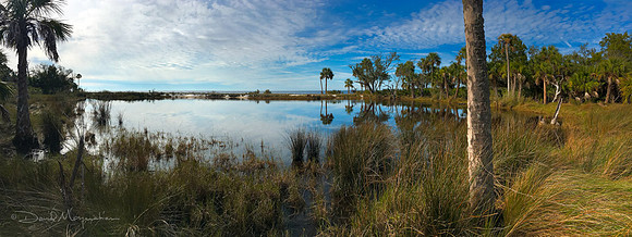 Island Lake