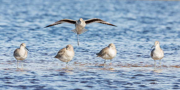 One Foot Landing