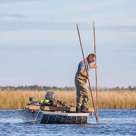 Oysterman