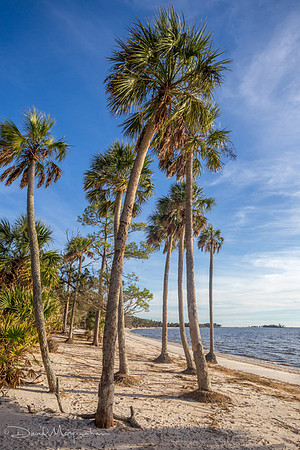 Palm Bay