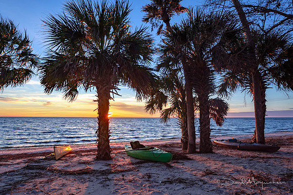 Palm Beach Sunset