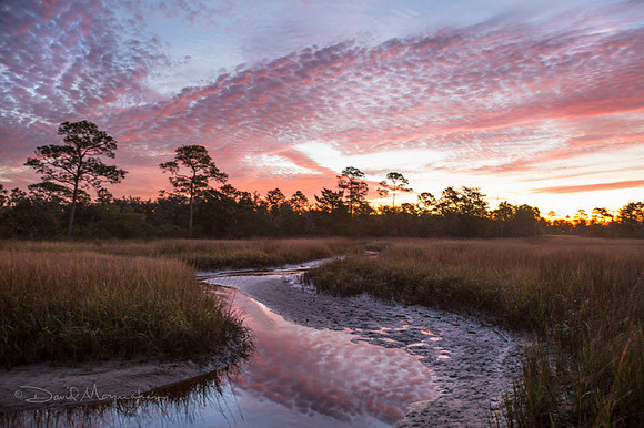 Reflecting Creek