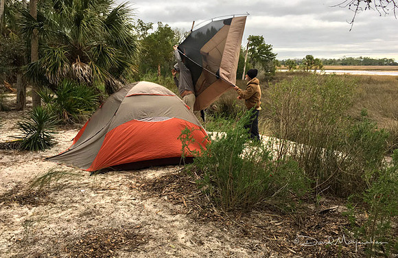 Tent Rescue