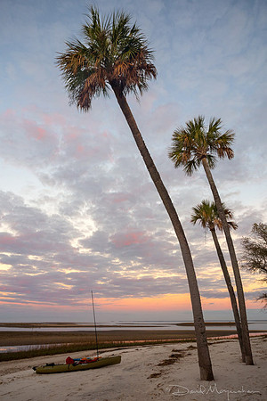 Three Palm Dawn