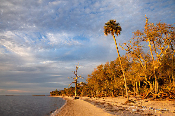 Wild Sunset Isle