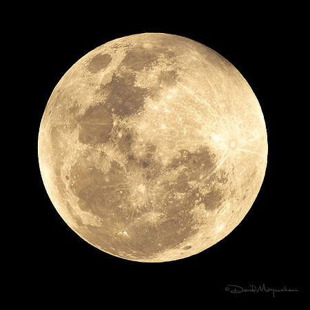 Full Moon Portrait