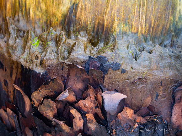 Erosion Study