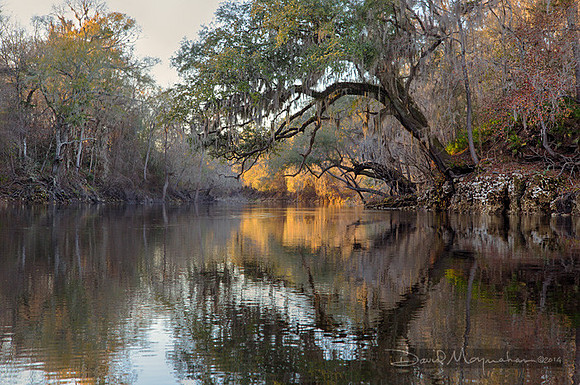 Down_the_Suwannee