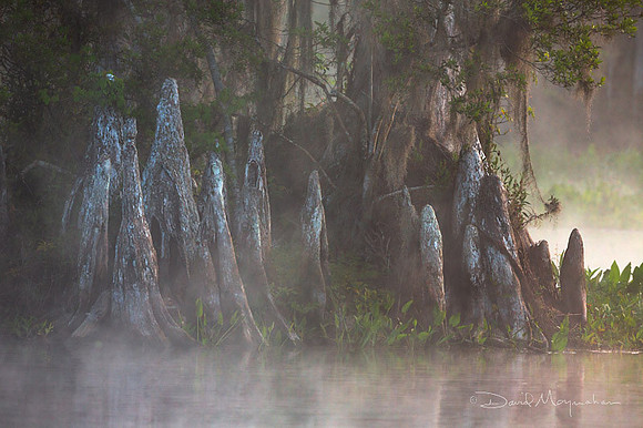 Knee Stand in Mist