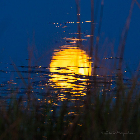 Full Moon Mirage