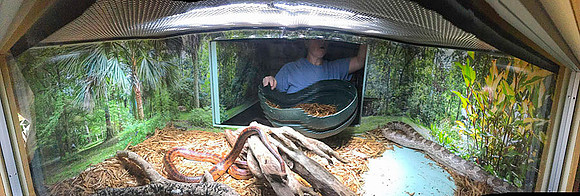 Suzie in open cage