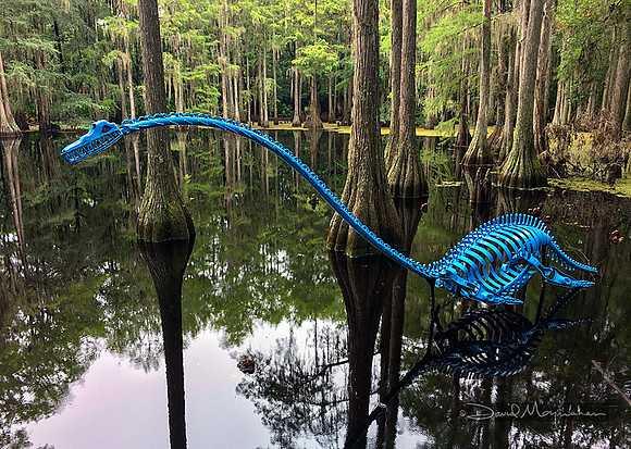 Tall Mus Pond Dinosaur