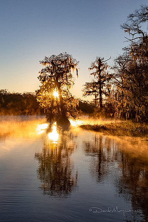 Wakulla Winter Sunrise