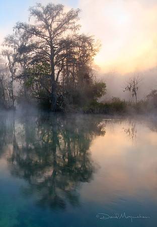 Wintery Wakulla